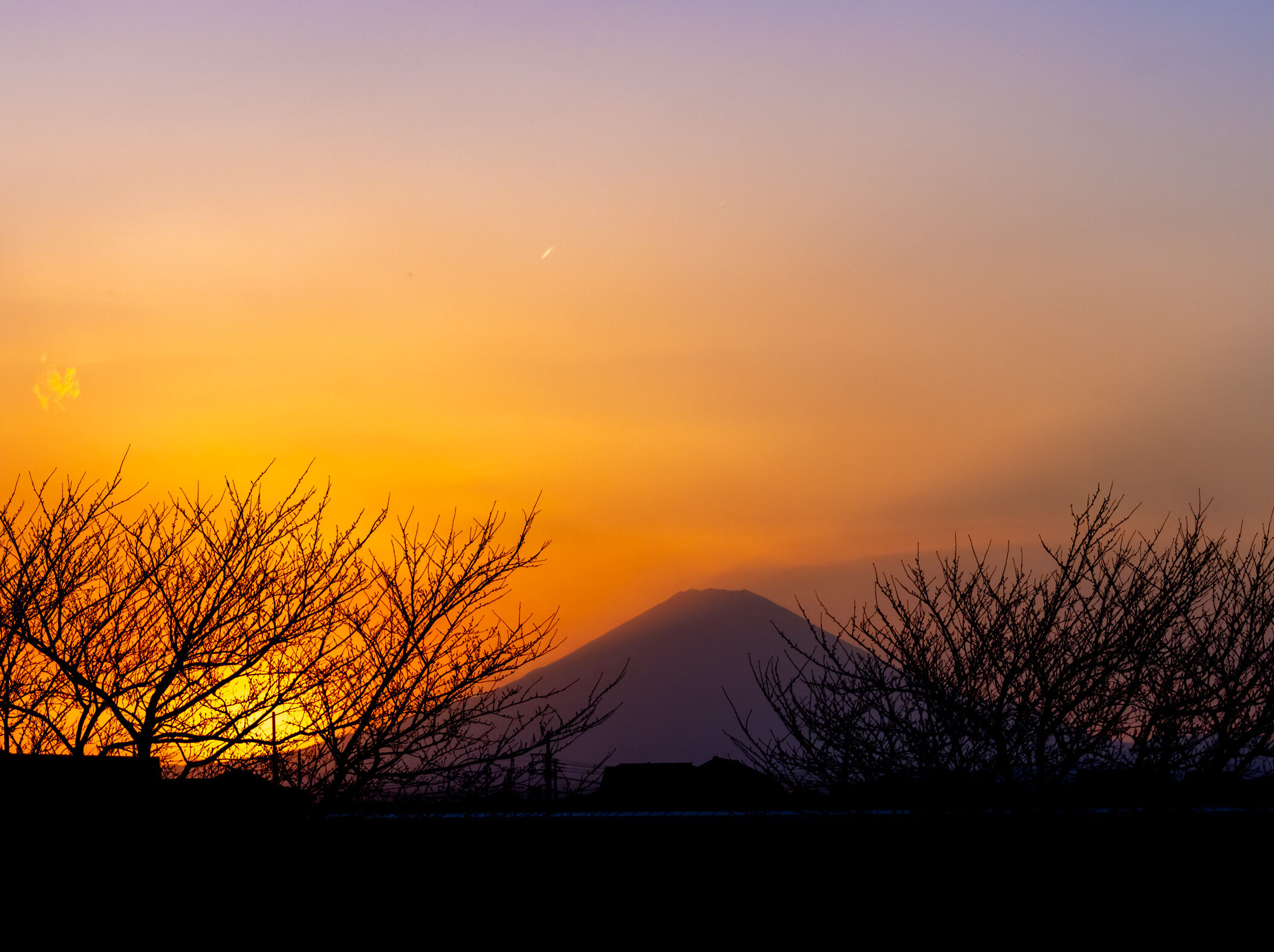 夕暮れの富士山と樹々のシルエット